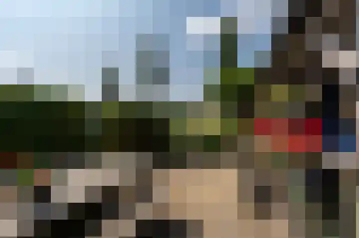 Beumeesweg 168 Alteveer thumbnail 31