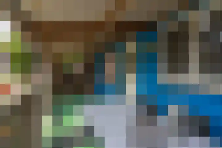Beumeesweg 168 Alteveer thumbnail 32