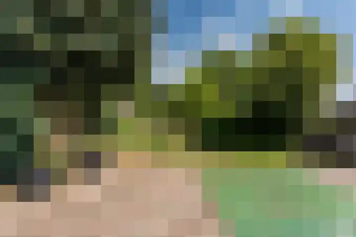 Beumeesweg 168 Alteveer thumbnail 33
