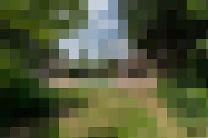 Beumeesweg 168 Alteveer thumbnail 34
