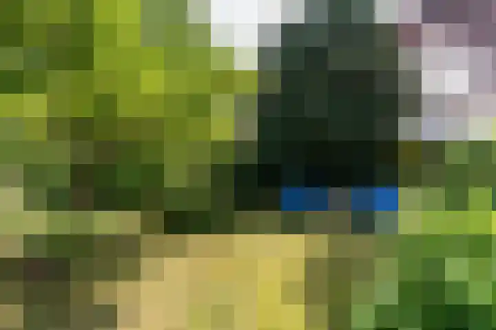 Beumeesweg 168 Alteveer thumbnail 35