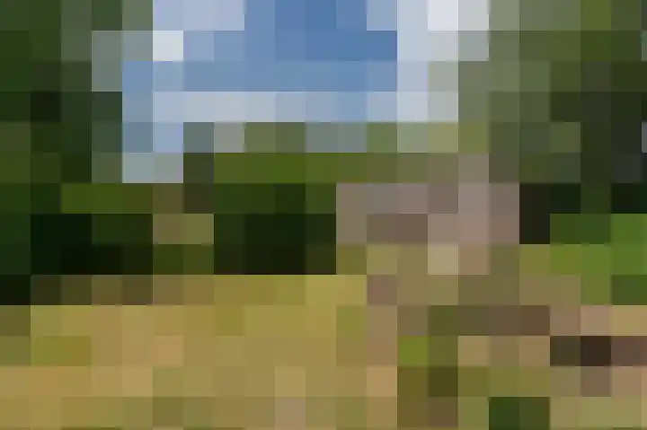 Beumeesweg 168 Alteveer thumbnail 37