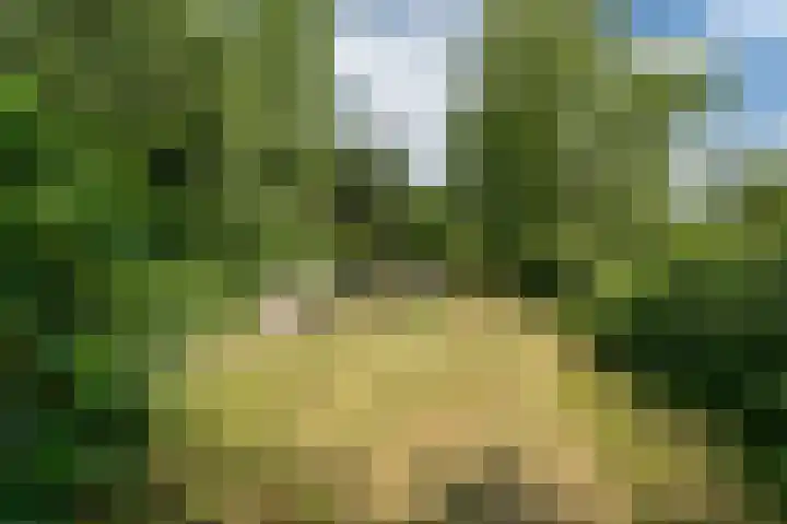 Beumeesweg 168 Alteveer thumbnail 38