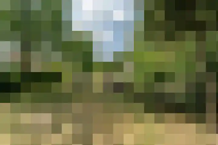 Beumeesweg 168 Alteveer thumbnail 39