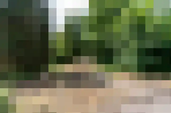 Beumeesweg 168 Alteveer thumbnail 41