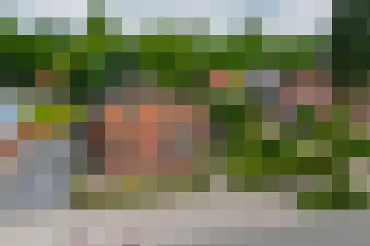 Beumeesweg 168 Alteveer thumbnail 42