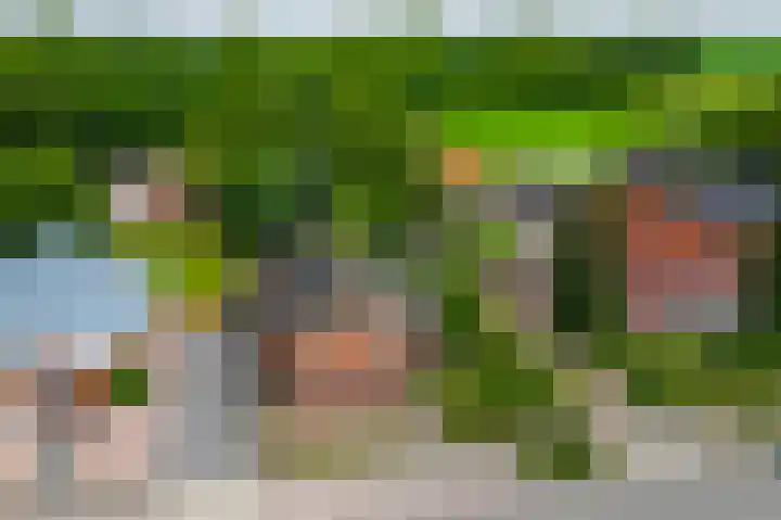 Beumeesweg 168 Alteveer thumbnail 43