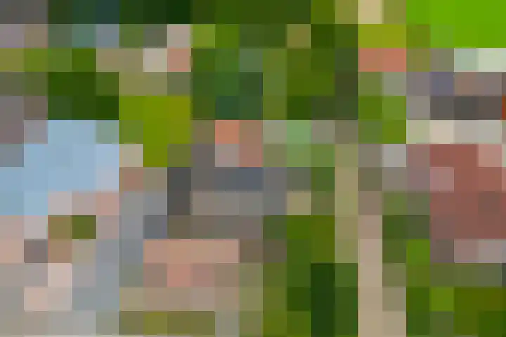 Beumeesweg 168 Alteveer thumbnail 44