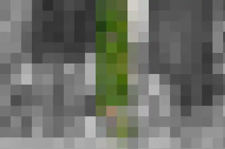 Beumeesweg 168 Alteveer thumbnail 46