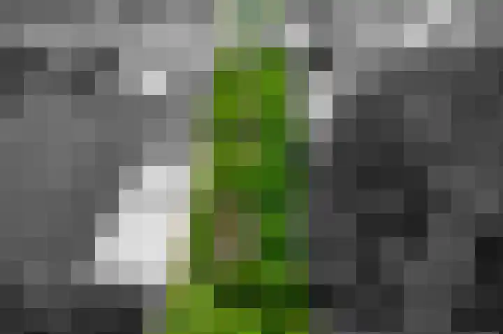 Beumeesweg 168 Alteveer thumbnail 47