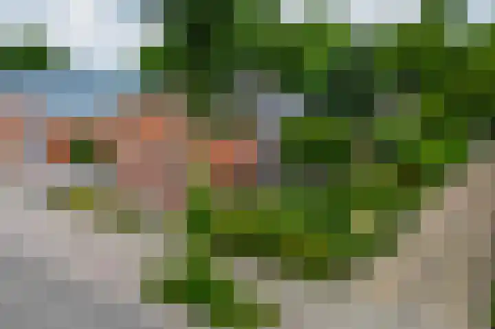Beumeesweg 168 Alteveer thumbnail 54