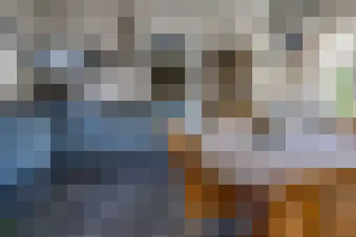 Beumeesweg 187 Alteveer thumbnail 10
