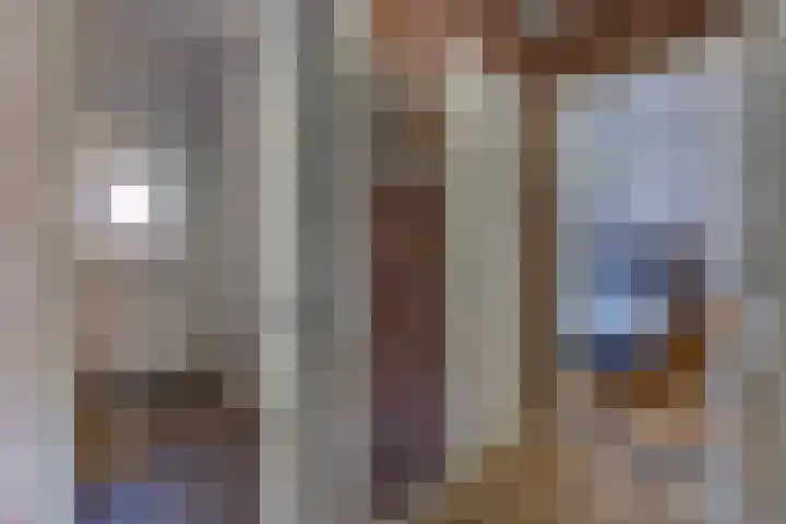 Beumeesweg 187 Alteveer thumbnail 13