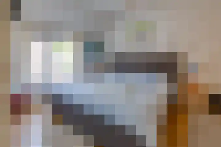 Beumeesweg 187 Alteveer thumbnail 18