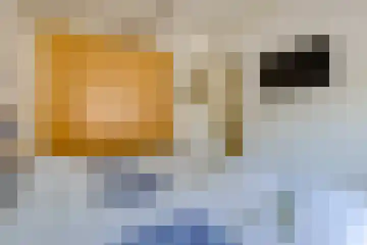 Beumeesweg 187 Alteveer thumbnail 19