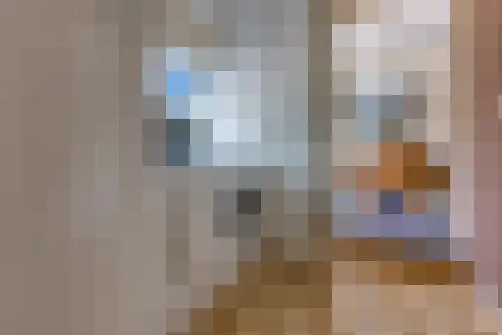 Beumeesweg 187 Alteveer thumbnail 20