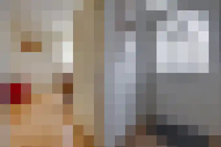 Beumeesweg 187 Alteveer thumbnail 22