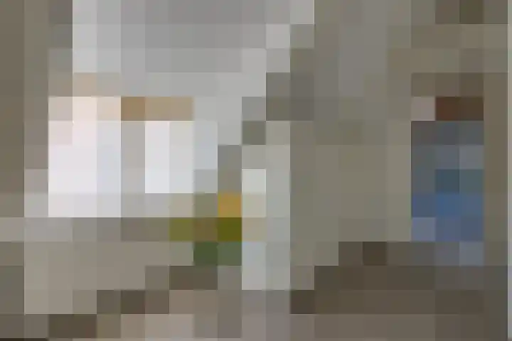 Beumeesweg 187 Alteveer thumbnail 25