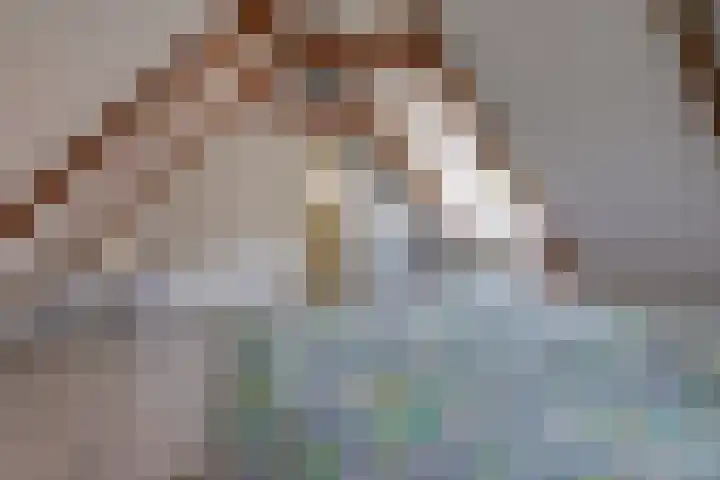 Beumeesweg 187 Alteveer thumbnail 27