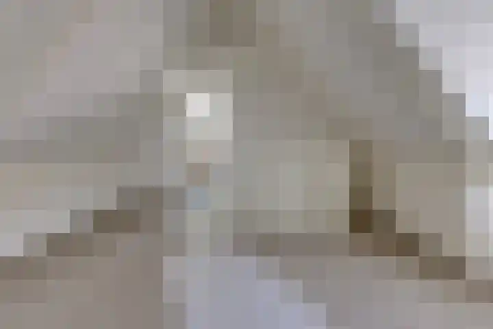 Beumeesweg 187 Alteveer thumbnail 28