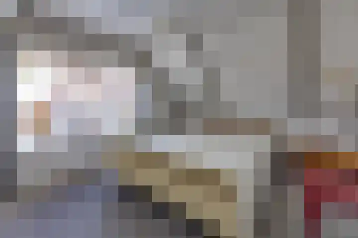 Beumeesweg 187 Alteveer thumbnail 29