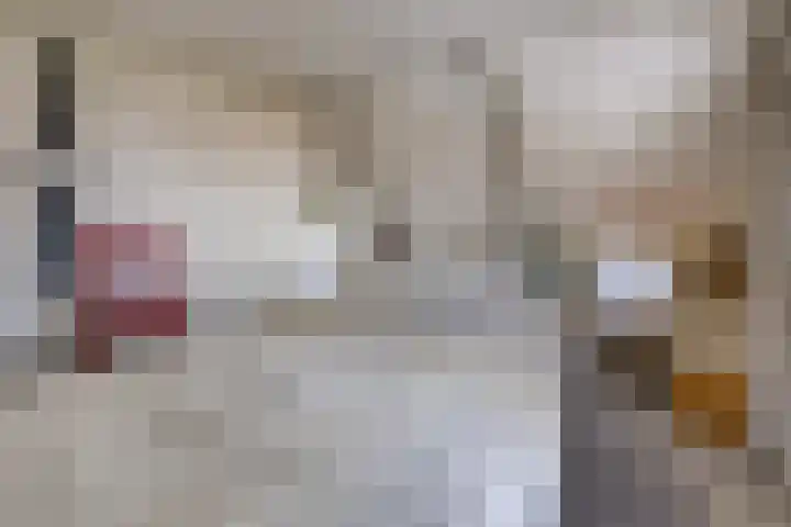 Beumeesweg 187 Alteveer thumbnail 30