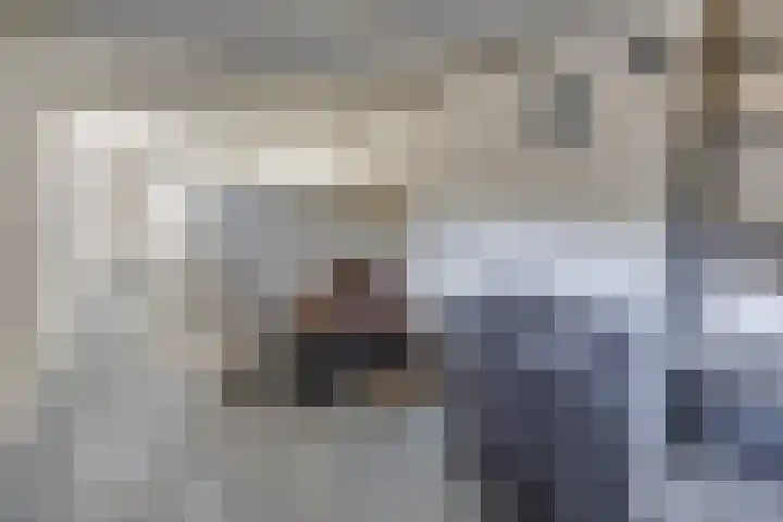 Beumeesweg 187 Alteveer thumbnail 31