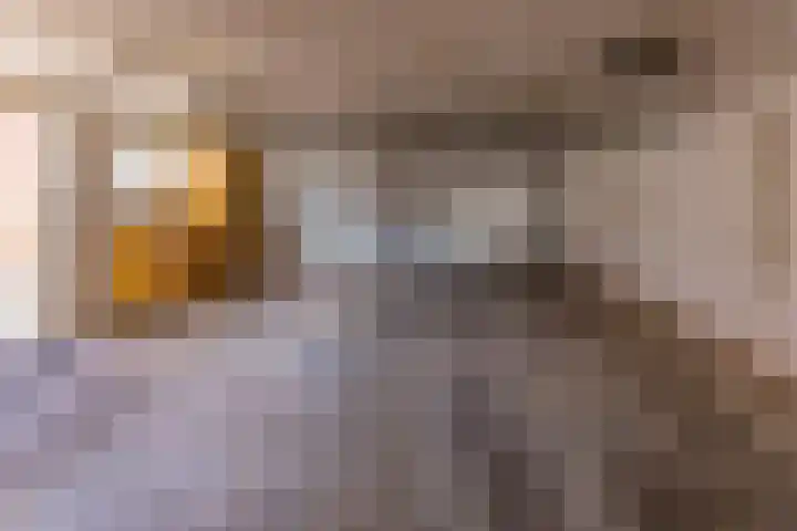 Beumeesweg 187 Alteveer thumbnail 33