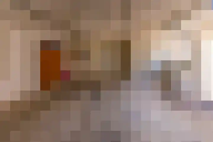 Beumeesweg 187 Alteveer thumbnail 34