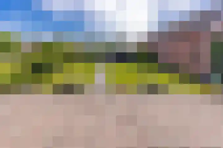 Beumeesweg 187 Alteveer thumbnail 36