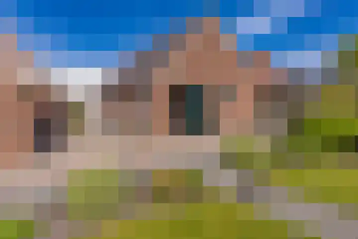 Beumeesweg 187 Alteveer thumbnail 38