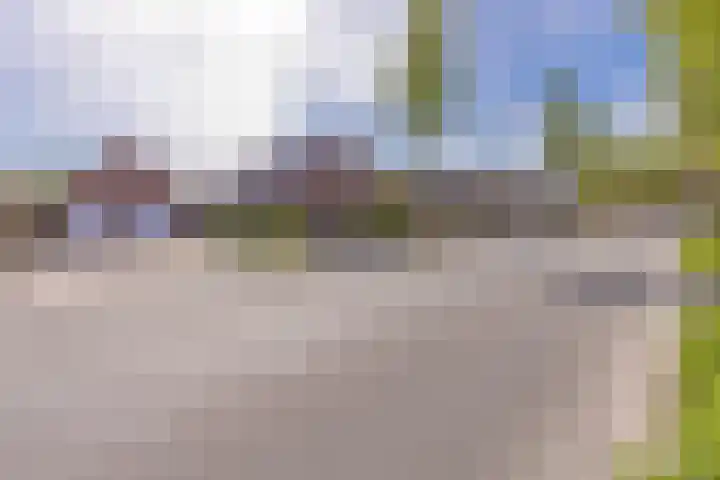Beumeesweg 187 Alteveer thumbnail 4