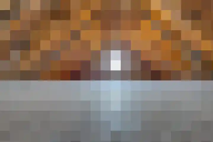 Beumeesweg 187 Alteveer thumbnail 41