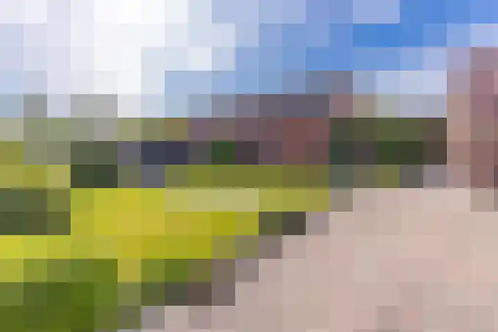 Beumeesweg 187 Alteveer thumbnail 42