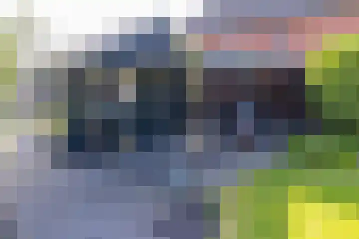 Beumeesweg 187 Alteveer thumbnail 48