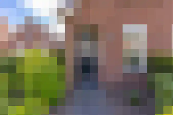 Beumeesweg 187 Alteveer thumbnail 5