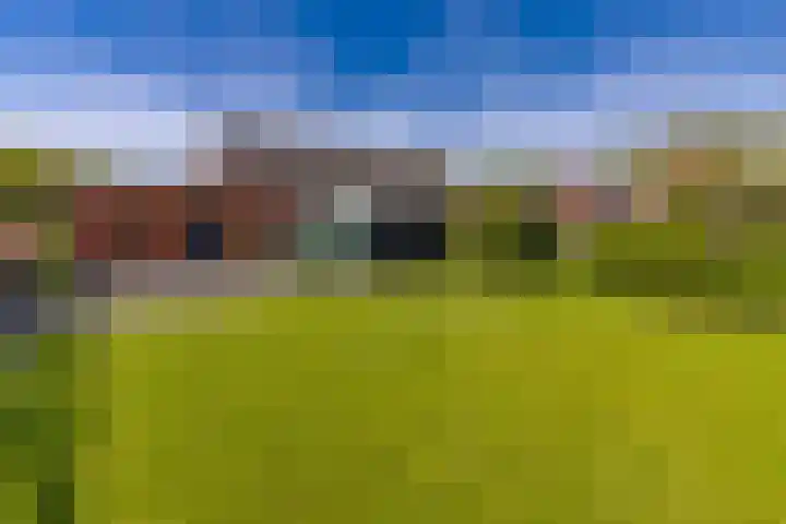 Beumeesweg 187 Alteveer thumbnail 51