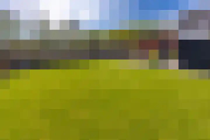 Beumeesweg 187 Alteveer thumbnail 52
