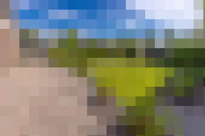 Beumeesweg 187 Alteveer thumbnail 53