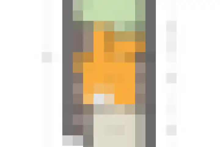 Beumeesweg 187 Alteveer thumbnail 55