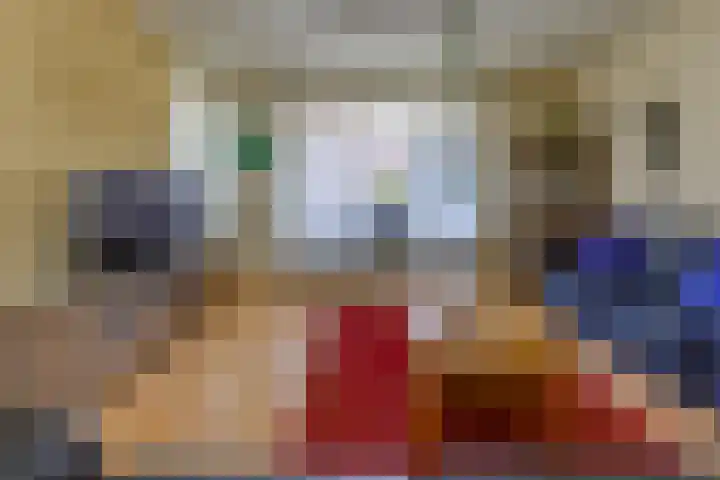 Beumeesweg 187 Alteveer thumbnail 7