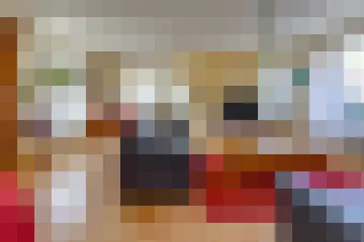 Beumeesweg 187 Alteveer thumbnail 8