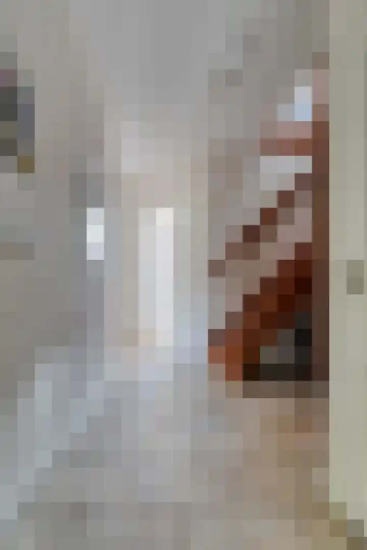 Beumeesweg 2 Alteveer thumbnail 10