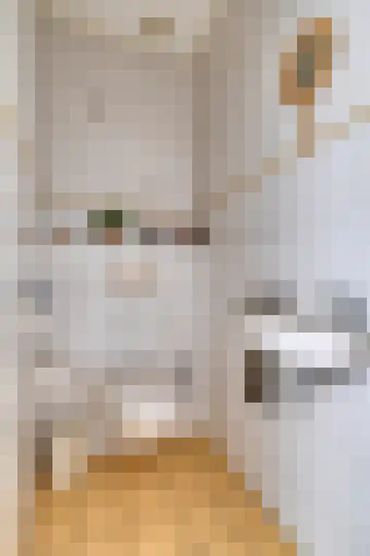 Beumeesweg 2 Alteveer thumbnail 11