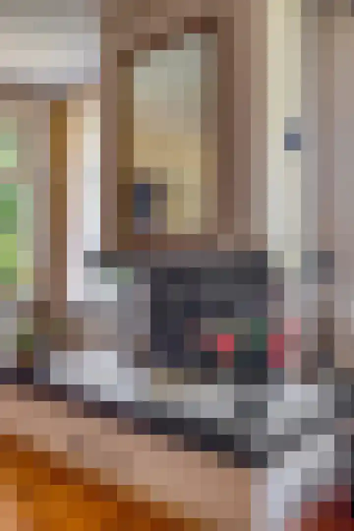 Beumeesweg 2 Alteveer thumbnail 14