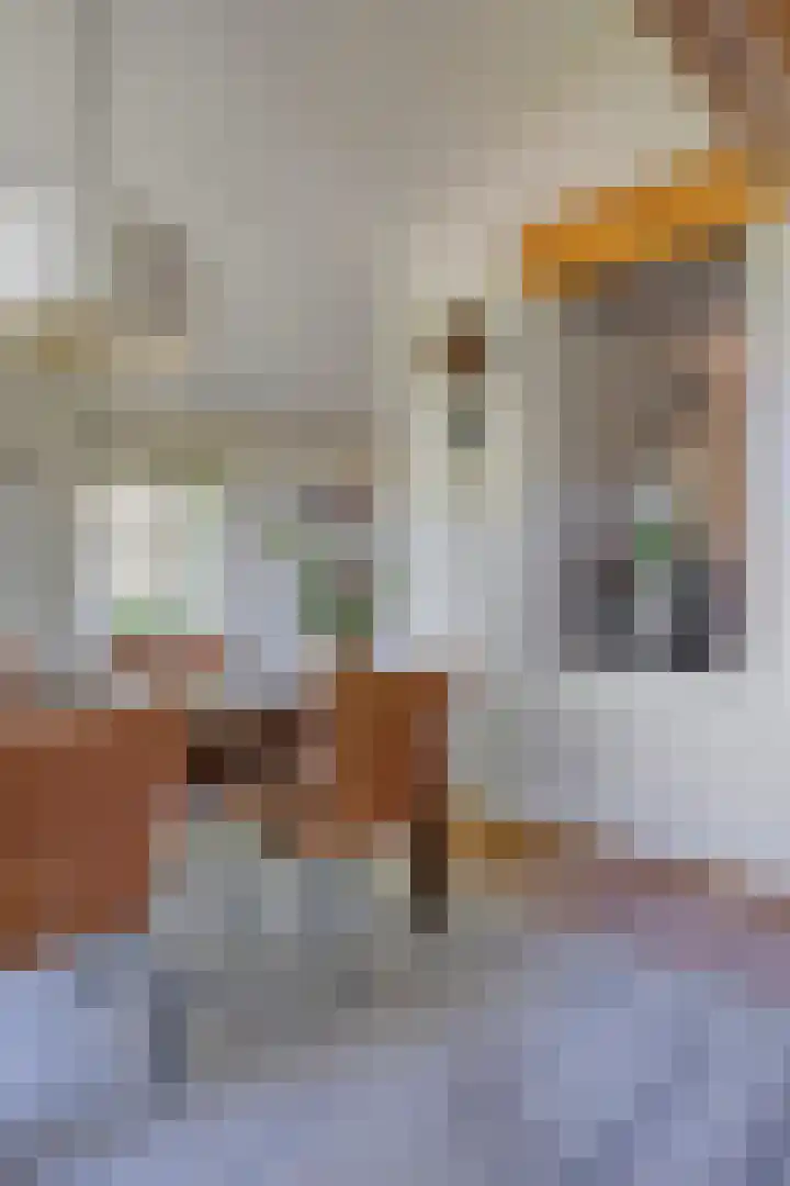 Beumeesweg 2 Alteveer thumbnail 15