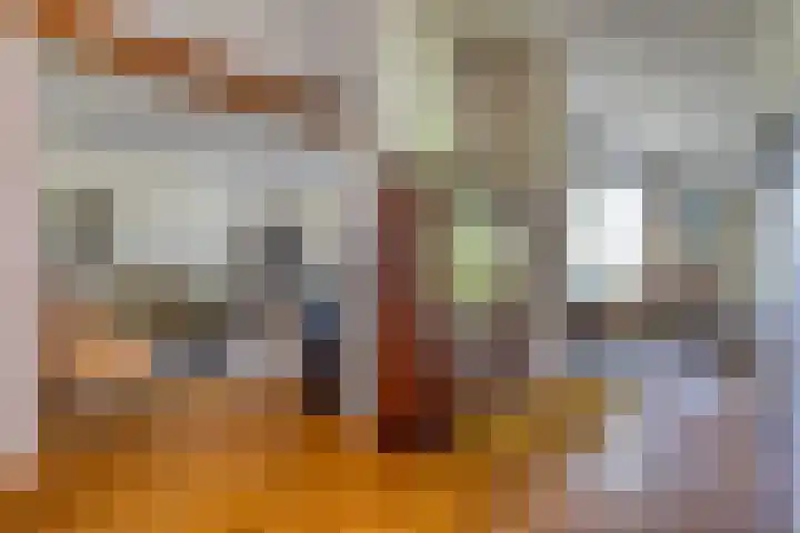 Beumeesweg 2 Alteveer thumbnail 17