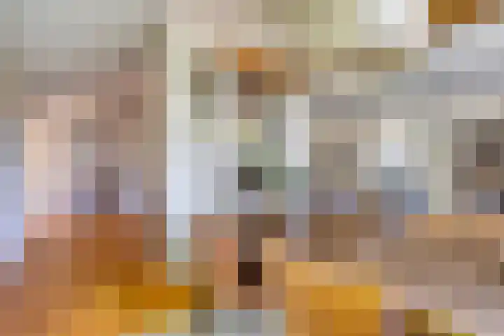 Beumeesweg 2 Alteveer thumbnail 18