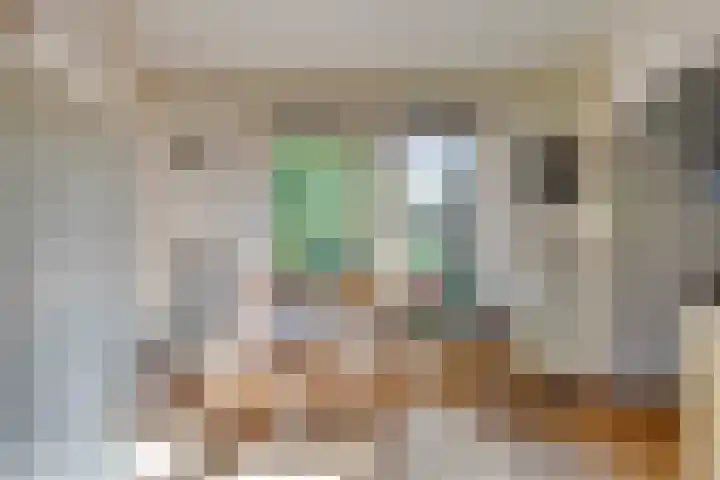 Beumeesweg 2 Alteveer thumbnail 21