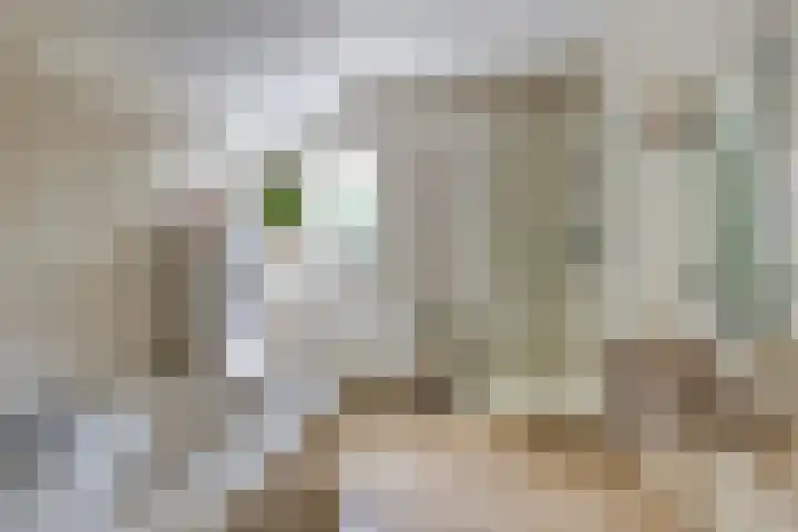 Beumeesweg 2 Alteveer thumbnail 25
